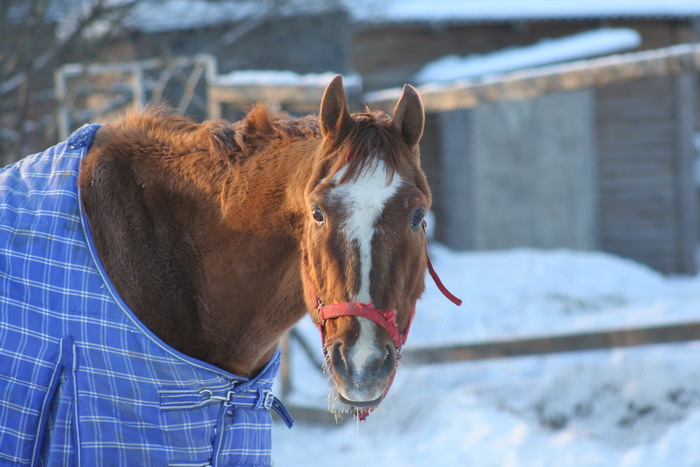 IMG_2113.jpg1.jpg"%20height="467"%20width="700